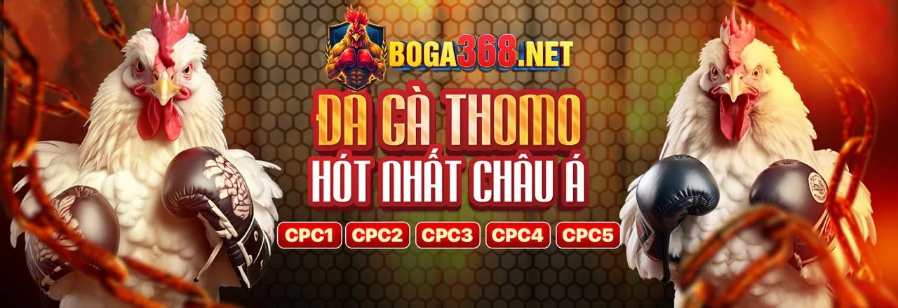 Phân tích mã khuyến mãi KU777