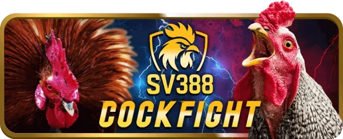 Bước 3: Xác minh và nhận thưởng